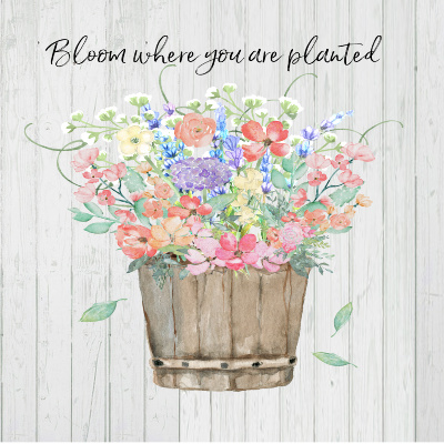 Protected: 8×10 Bloom where you’re planted