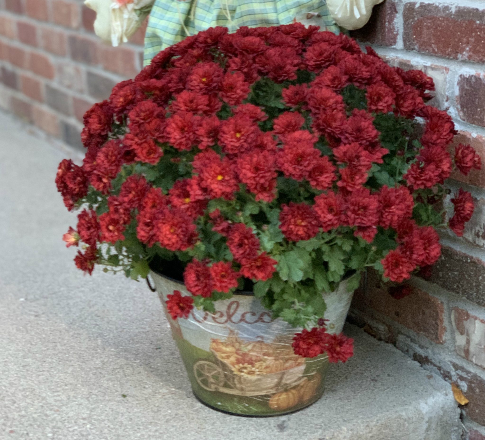 Fall front porch ideas to help you decorate - my home of all seasons