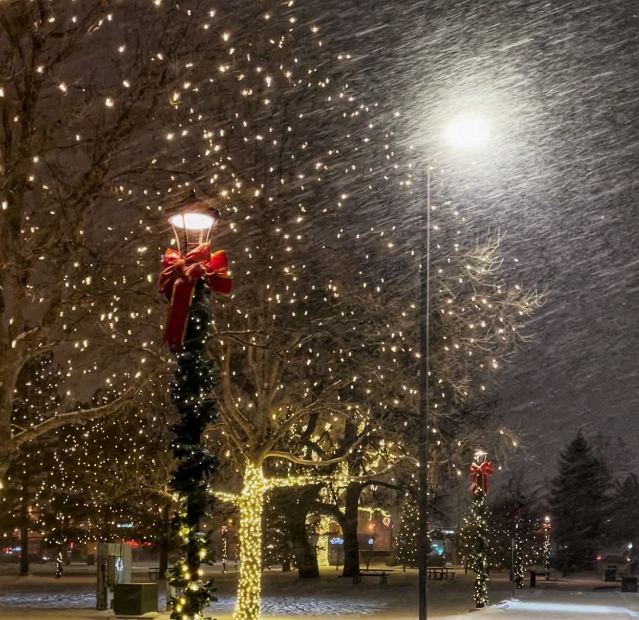 A Christmas Walk Through Town - my home of all seasons