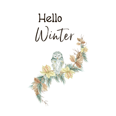 Protected: 8 x 10 Hello Winter Owl Print
