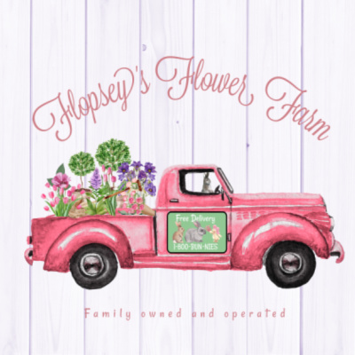 Protected: 10 x 8 Flopsey’s Flower Farm