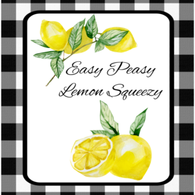 Protected: 8 x 10 Easy Peasy Lemon