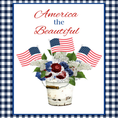 Protected: 8 x 10 America the Beautiful