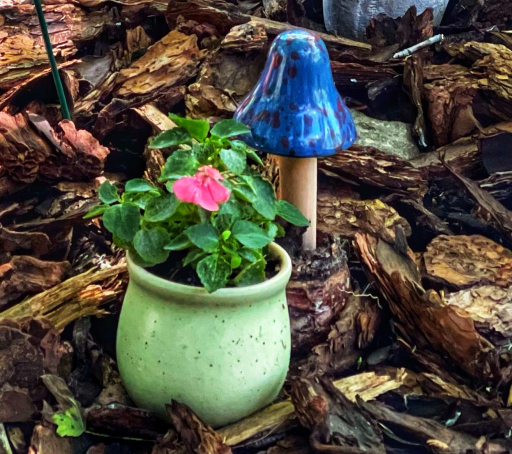 Image of potted impatiens in a fairy garden