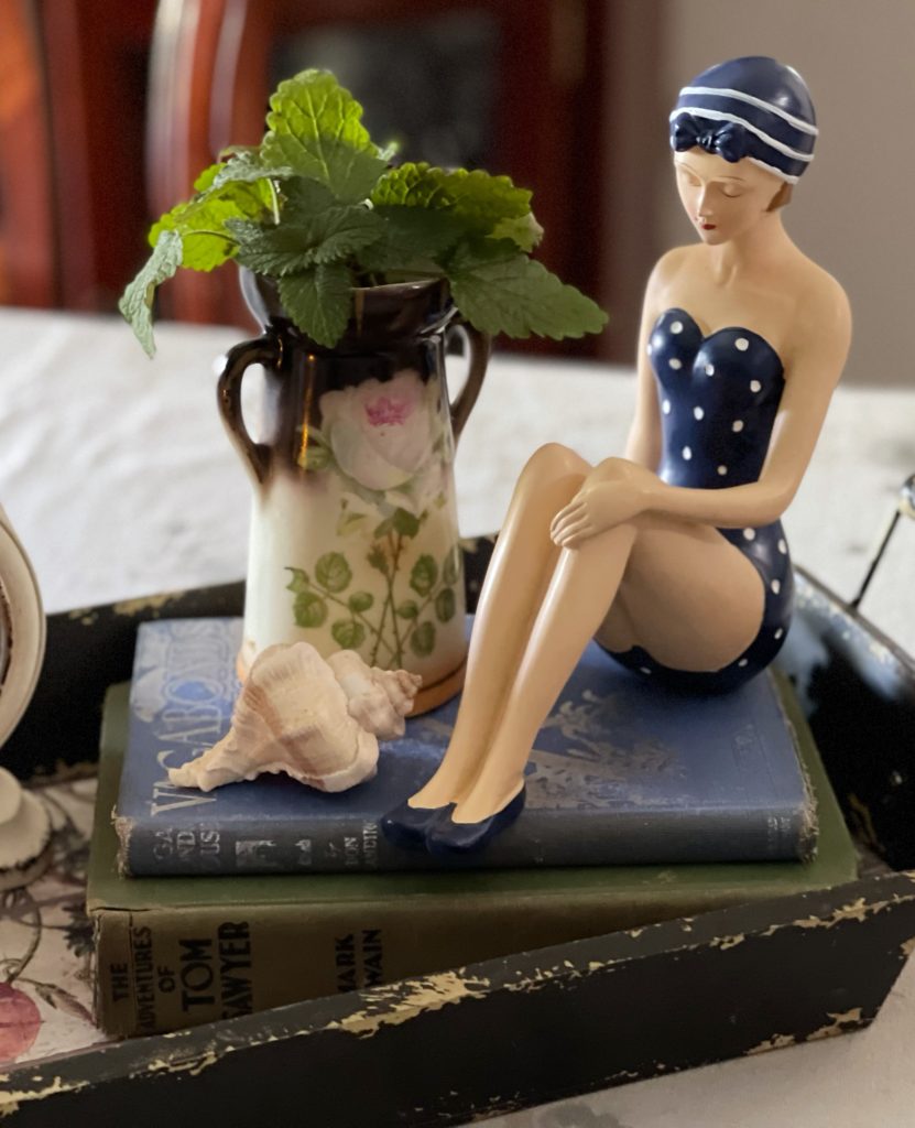 Image of old books and vintage bathing beauty