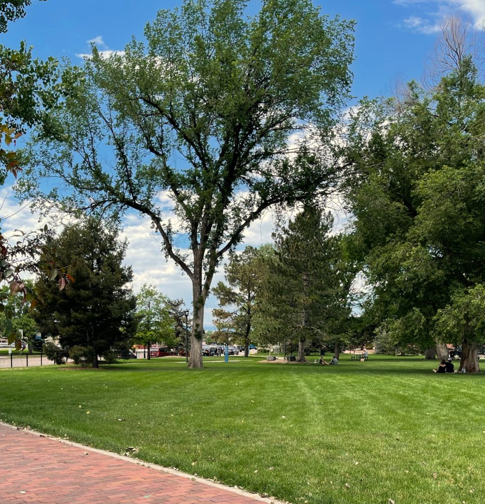 Image of stroll through town park view