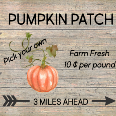 Protected: 10 x 8 Wood Pumpkin Patch Sign