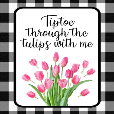 Protected: 5 x 7 Pink Tulip Tiptoe