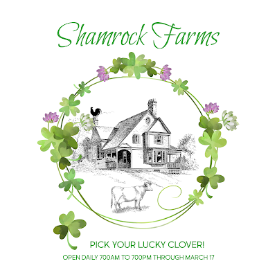 Protected: 8 x 10 Shamrock Farms