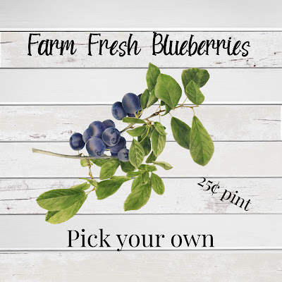 Protected: 4 x 4 Farm Fresh Blueberries