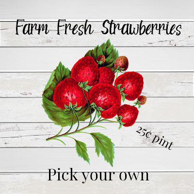 Protected: 4 x 4 Farm Fresh Strawberries