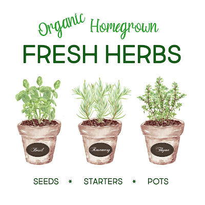 Protected: 4 x 4 Organic Fresh Herbs