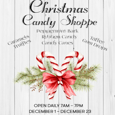 Protected: 8 x 10 Christmas Candy Shoppe