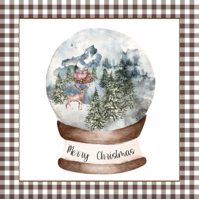 Protected: 8 x 10 Merry Christmas Snowglobe