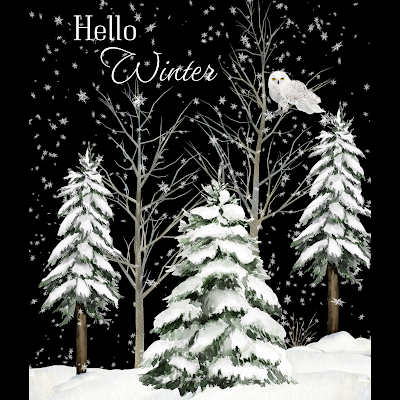 Protected: 8 x 10 Hello Winter (Owl Print)