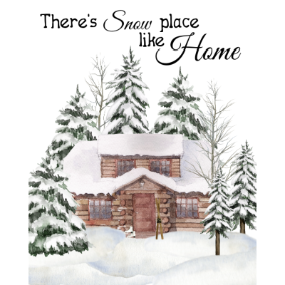 Protected: 8 x 10 There’s Snow Place Like Home