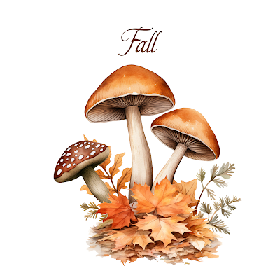 Protected: 8 x 10 Colorful Fall Mushrooms